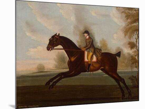 Sportsman, A Bay Hunter with Gentleman Up in a Wooded Landscape, 1773-Daniel Quigley-Mounted Giclee Print