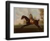 Sportsman, A Bay Hunter with Gentleman Up in a Wooded Landscape, 1773-Daniel Quigley-Framed Giclee Print