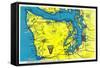 Sportsman and Tourist Map, Olympic Peninsula - Olympic National Park-Lantern Press-Framed Stretched Canvas