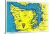 Sportsman and Tourist Map, Olympic Peninsula - Olympic National Park-Lantern Press-Stretched Canvas