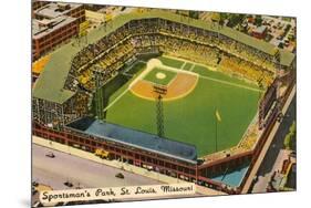 Sportsman's Park, St. Louis, Missouri-null-Mounted Art Print