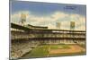 Sportsman's Park, St. Louis, Missouri-null-Mounted Art Print