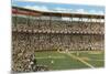 Sportsman's Park, St. Louis, Missouri-null-Mounted Premium Giclee Print