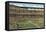 Sportsman's Park, St. Louis, Missouri-null-Framed Stretched Canvas