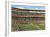 Sportsman's Park, St. Louis, Missouri-null-Framed Art Print