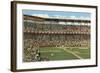 Sportsman's Park, St. Louis, Missouri-null-Framed Art Print