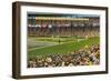 Sportsman's Park, St. Louis, Missouri-null-Framed Art Print