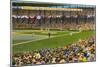 Sportsman's Park, St. Louis, Missouri-null-Mounted Art Print