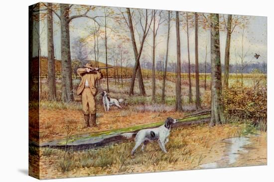 Sportsman with His English Setters Hunting Woodcock, Circa 1900-null-Stretched Canvas