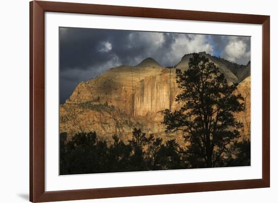 Spot light on Zion-Ken Archer-Framed Photographic Print