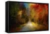 Spotlight on Autumn-Jai Johnson-Framed Stretched Canvas