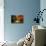 Spotlight on Autumn-Jai Johnson-Stretched Canvas displayed on a wall