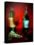 Spotlight on Wine-Ruth Palmer-Stretched Canvas