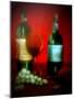Spotlight on Wine-Ruth Palmer-Mounted Art Print