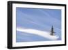 Spotlight on Young Spruce-Michael Blanchette Photography-Framed Giclee Print