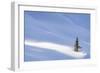 Spotlight on Young Spruce-Michael Blanchette Photography-Framed Giclee Print