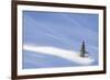 Spotlight on Young Spruce-Michael Blanchette Photography-Framed Giclee Print