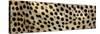 Spots on a Cheetah-null-Stretched Canvas