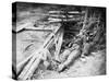 Spotsylvania, VA, Dead Confederate Soldier, Civil War-Lantern Press-Stretched Canvas