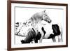 Spotted and Pinto-Samantha Carter-Framed Art Print
