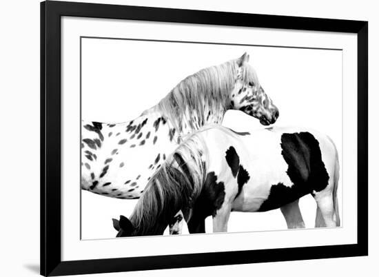 Spotted and Pinto-Samantha Carter-Framed Art Print