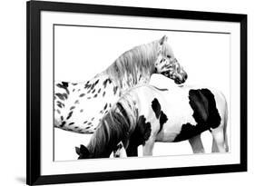 Spotted and Pinto-Samantha Carter-Framed Art Print