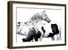 Spotted and Pinto-Samantha Carter-Framed Art Print