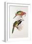 Spotted Bill Aracari-Edward Lear-Framed Giclee Print