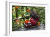 Spotted Crockery and Berries on Old Garden Bench-Andrea Haase-Framed Photographic Print