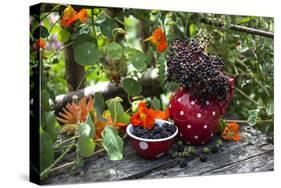 Spotted Crockery and Berries on Old Garden Bench-Andrea Haase-Stretched Canvas