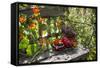 Spotted Dishes with Berries and Blossoms on Old Garden Bench-Andrea Haase-Framed Stretched Canvas