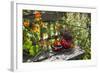 Spotted Dishes with Berries and Blossoms on Old Garden Bench-Andrea Haase-Framed Photographic Print