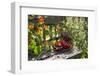 Spotted Dishes with Berries and Blossoms on Old Garden Bench-Andrea Haase-Framed Photographic Print