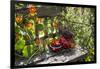 Spotted Dishes with Berries and Blossoms on Old Garden Bench-Andrea Haase-Framed Photographic Print