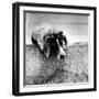 Spotted Dog Resting on the Wall with His Paws Crossed over His Head in a Thoughtful Pose-null-Framed Photographic Print