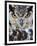 Spotted Eagle-Owl Captive, France-Eric Baccega-Framed Premium Photographic Print