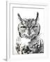 Spotted Eagle Owl, Kgalagadi Transfrontier Park, South Africa-James Hager-Framed Photographic Print