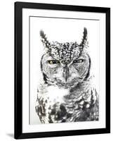 Spotted Eagle Owl, Kgalagadi Transfrontier Park, South Africa-James Hager-Framed Photographic Print