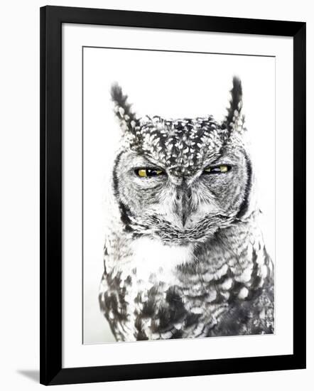 Spotted Eagle Owl, Kgalagadi Transfrontier Park, South Africa-James Hager-Framed Photographic Print