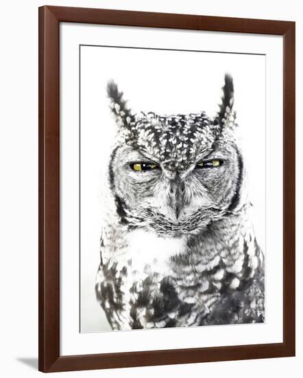 Spotted Eagle Owl, Kgalagadi Transfrontier Park, South Africa-James Hager-Framed Photographic Print