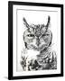 Spotted Eagle Owl, Kgalagadi Transfrontier Park, South Africa-James Hager-Framed Photographic Print