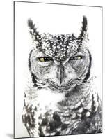 Spotted Eagle Owl, Kgalagadi Transfrontier Park, South Africa-James Hager-Mounted Photographic Print