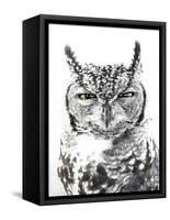 Spotted Eagle Owl, Kgalagadi Transfrontier Park, South Africa-James Hager-Framed Stretched Canvas