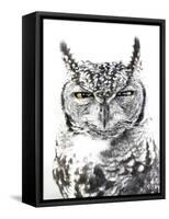 Spotted Eagle Owl, Kgalagadi Transfrontier Park, South Africa-James Hager-Framed Stretched Canvas