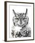 Spotted Eagle Owl, Kgalagadi Transfrontier Park, South Africa-James Hager-Framed Photographic Print