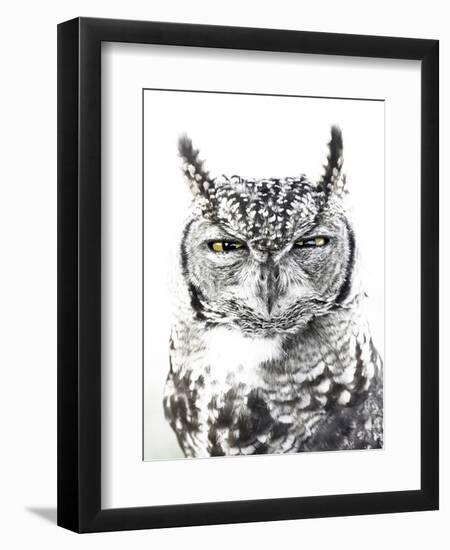 Spotted Eagle Owl, Kgalagadi Transfrontier Park, South Africa-James Hager-Framed Premium Photographic Print