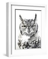 Spotted Eagle Owl, Kgalagadi Transfrontier Park, South Africa-James Hager-Framed Premium Photographic Print