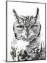 Spotted Eagle Owl, Kgalagadi Transfrontier Park, South Africa-James Hager-Mounted Premium Photographic Print