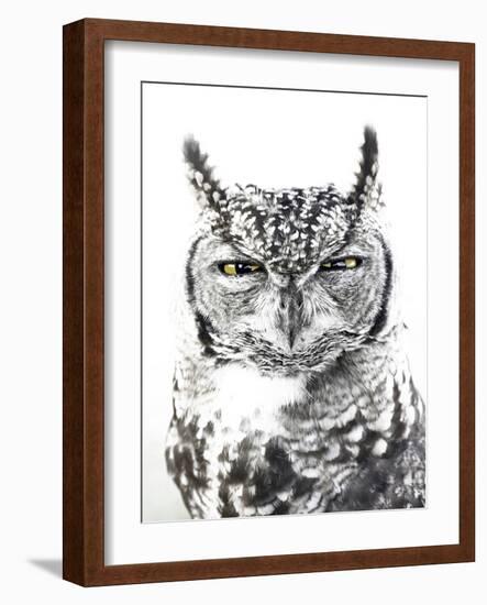 Spotted Eagle Owl, Kgalagadi Transfrontier Park, South Africa-James Hager-Framed Photographic Print