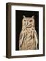 Spotted Eagle Owl-Hal Beral-Framed Photographic Print